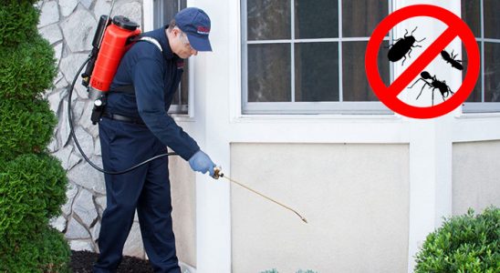 Anamur Bit İlaçlama böcek ilaçlama ve haşere kontrolü — ilaclama-tr.com